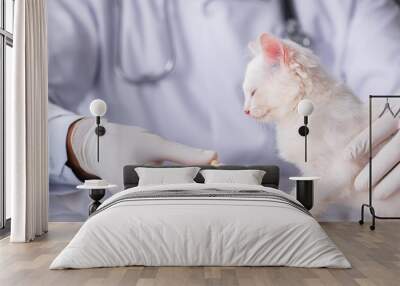 White kitten visiting vet for check up Wall mural