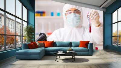 Young handsome lab assistant testing blood samples in hospital Wall mural