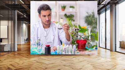 Young male chemist working in the lab Wall mural