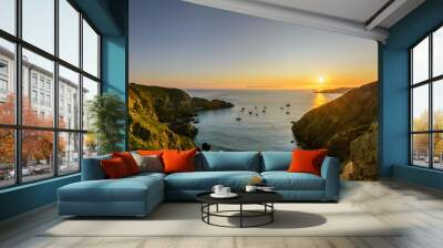 sark summer view coastline with cliffs la coupe Wall mural