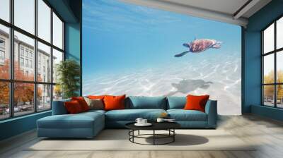 sea turtle underwater Wall mural