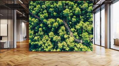 Green landscape top view green trees and road Wall mural