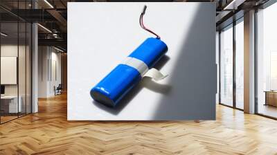 blue battery with a terminal for a vacuum cleaner robot on a white background Wall mural