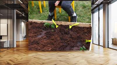 planting plants in open ground from boxes Wall mural