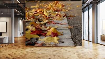 Yellow, orange and brown leaves. autumn in its purest form. Aboles with fall colors. Wall mural