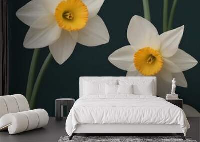 Vibrant Yellow-Orange Narcissus Bloom, Narcissus flower close-up, ikebana art Wall mural