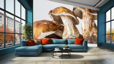 Porcini mushrooms, prized for their distinctive flavor and aroma, are captured in their natural glory on a white background. The image is expertly cropped Wall mural