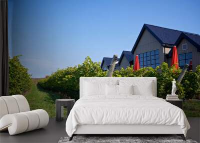 Building exterior of a winery with rows of wine grapes in the field. Wall mural