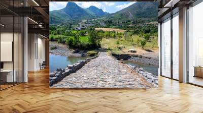 old stone bridge in ancient roman road over the Shkumbin river Albania Wall mural