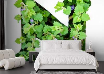 The letter N of the English alphabet from the leaves of green plants Wall mural