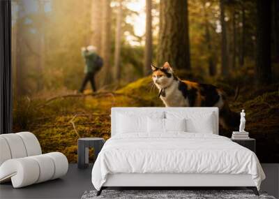 Cat with Hiker during Sunset. Wall mural