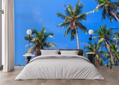 Green palm tree crowns on blue sky background. Coco palm forest photo. Wall mural