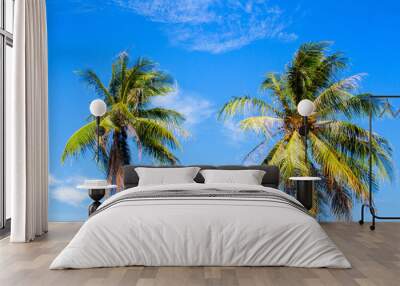 Idyllic palm tree on tropical island. Bright blue sky background. Wall mural