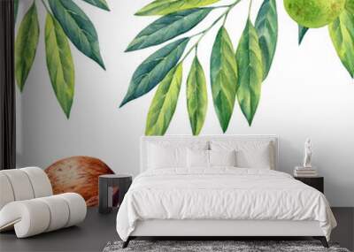 watercolor painting of branch walnut on white background Wall mural