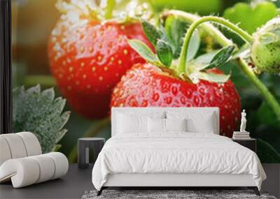 Ripe strawberry fruit on garden for vertical background and social media Wall mural