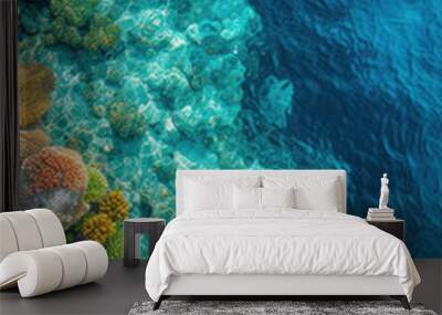 Top view of the clean transparent water and coral reef on the beach Wall mural