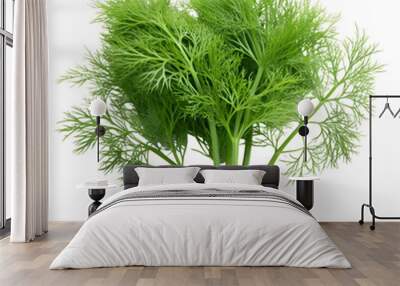 Dill leaves isolated on transparent background png Wall mural