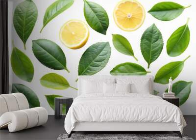 lemon isolated on white on transparent background png Wall mural