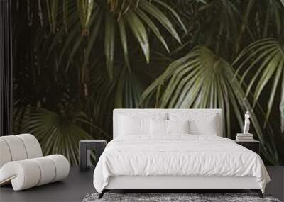 palm tree leaves Wall mural