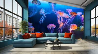 the jellyfish in the aquarium glow with vibrant lights Wall mural