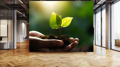 in the hands of trees growing seedlings. green bokeh background. female hand-holding tree in nature  Wall mural