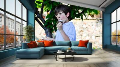 child in a garden eats an ice cream in the shade of a tree Wall mural