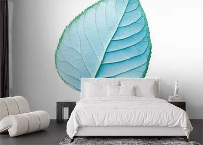 Autumn leaf Isolated Wall mural