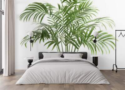 Green Plant in White Pot Isolated On White Background Wall mural