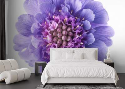 Purple Flower with Delicate Petals Wall mural