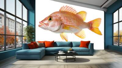 Red Snapper Fish Wall mural