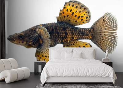 Spotted Mandarin Fish Wall mural