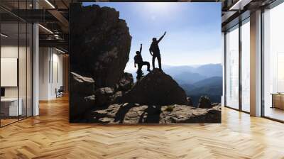 concept of two successful people at the top of the mountains Wall mural