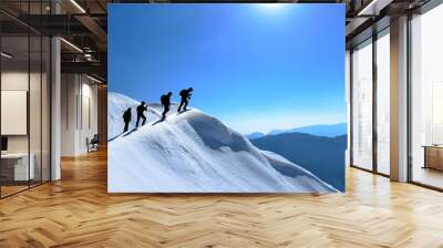 mountaineering & hiking & activity & peak success Wall mural