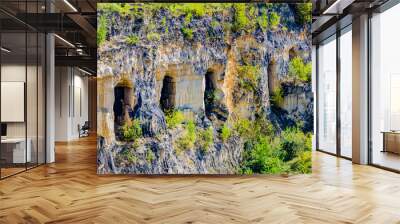 Limestone caves with green plants growing between the rocks in a Sint-Pietersberg or Mount Saint Peter nature reserve, wonderful sunny day in Maastricht, South Limburg in the Netherlands Wall mural