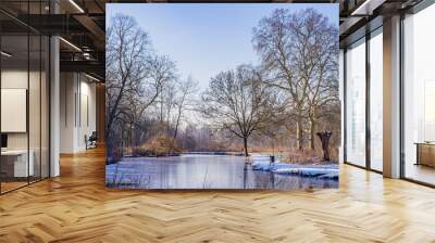 Winter landscape with a pond with its frozen waters, frost and snow, surrounded by huge bare trees, wild plants and light fog, sunny winter day in Kasteelpark Elsloo, South Limburg, the Netherlands Wall mural