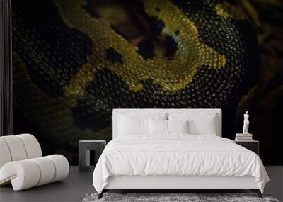 snakes skin Wall mural