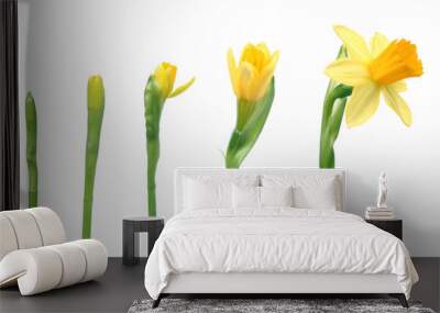 spring is coming Wall mural