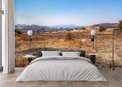 A view of a burnt area with charred vegetation in the foreground and towering mountains in the distance, showcasing the aftermath of a recent wildfire. Wall mural