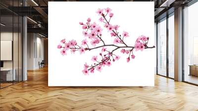 Pink spring blossom, cherry blossom isolated on white, floral card Wall mural