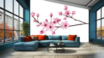 Pink spring cherry blossom. Cherry tree branch with spring pink flowers isolated on white
 Wall mural