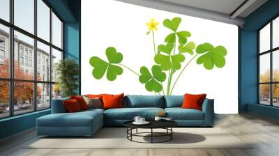 Yellow woodsorrel plant with flower isolated on white, Oxalis stricta Wall mural