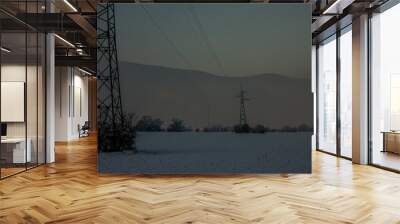 electric poles in winter Wall mural