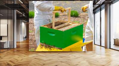 Beekeepers working new hive Wall mural