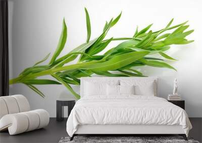 Fresh tarragon sprig on a white background Wall mural