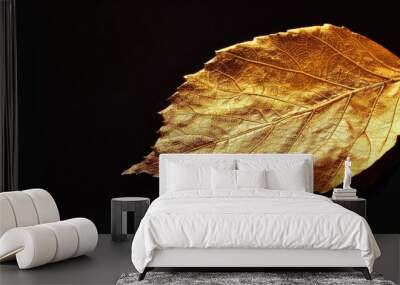 Golden Leaf Isolated On Black Background Fall Season Concept Wall mural