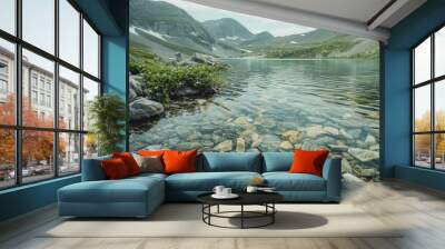 Shoreline of a clear mountain lake with rocks and plants Wall mural