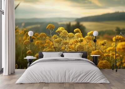 Tansy Flowers With Rural Landscape View Wall mural