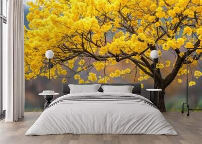 Yellow Flowers Blossom Tree Wall mural