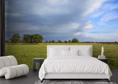 english meadow with dramatic sky Wall mural