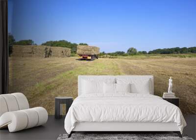 haymaking time 2 Wall mural